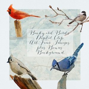 Backyard Birds Digitales Clip Art Bundle, vier Bilder plus Bonus Hintergrund