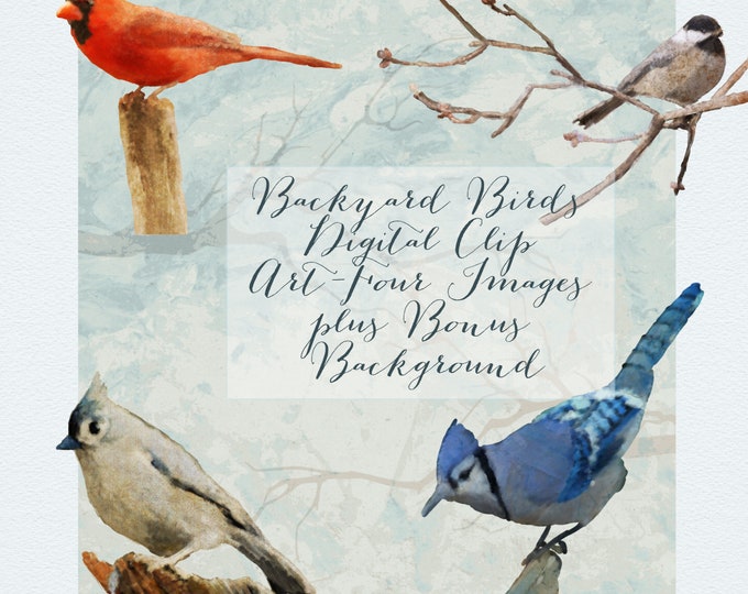 Backyard Birds Digital Clip Art Bundle, Four Images Plus Bonus Background