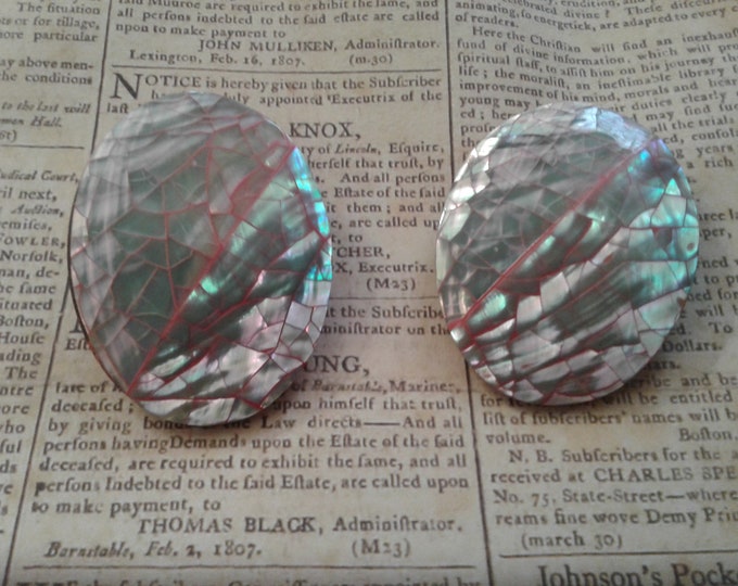 Huge Pink Shell and Resin Clip On Earrings