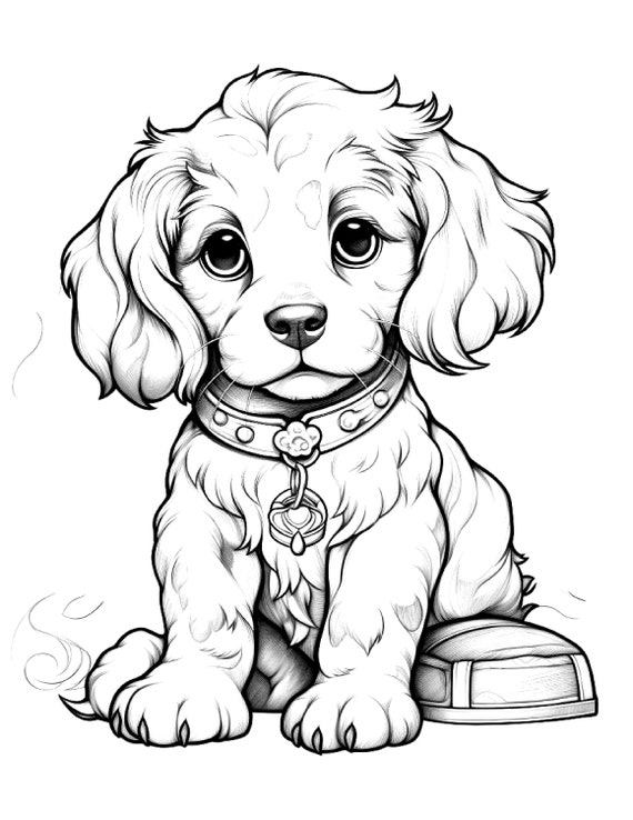 Five Cute Puppies Coloring Sheets for Instant Download 