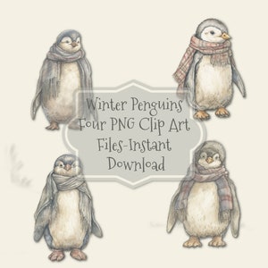 Pingüinos de invierno: cuatro adorables imágenes prediseñadas, archivos PNG