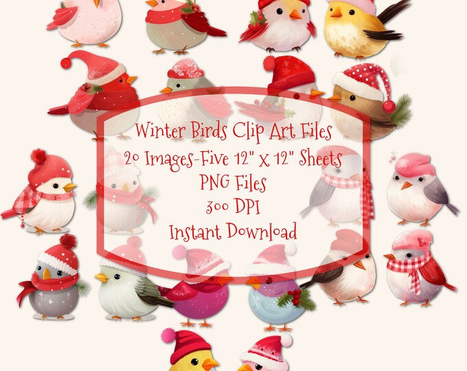 Winter Birds--Twenty  Adorable Clip Art Images--Five Sheets, PNG Files