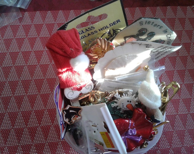 Bunches of Brooches!--Dish not Included