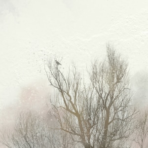 May include: A single bird perched on a bare tree branch against a soft, white, and pink watercolor background.