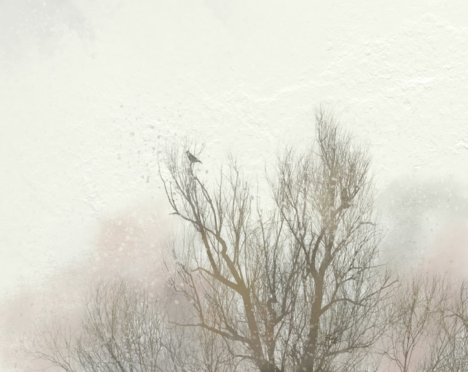 Bleak Midwinter Downloadable Print, 8 x 10, DC Williams
