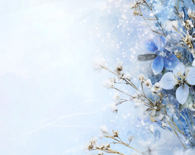 Five Winter Blossom Holiday Bordered Digital Papers/Backgrounds for Instant Download