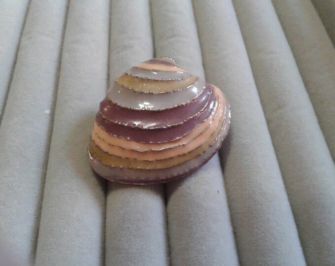 Mollusk Shell Striped in Dusty Pastels Enamel Brooch