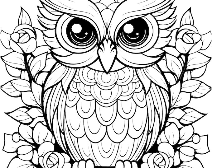Five Owlwise Coloring Sheets for Instant Download