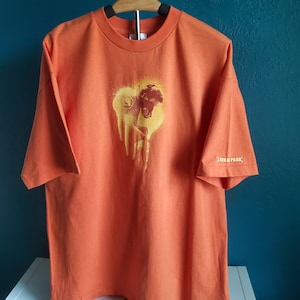 Authentic 2003 Linkin Park - Meteora Tour T-shirt, Rare Orange