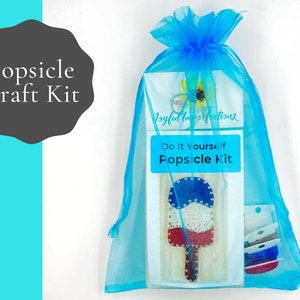May include: A blue mesh bag containing a craft kit to make a string art popsicle. The kit includes a wooden popsicle shape, string in red, white, and blue, and instructions. The bag has a tag that says "Do It Yourself Popsicle Kit" and "Joyful Imperfections".
