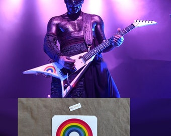 Wes Borland rainbow guitar stickers Jackson RR1 Limp Bizkit  decal