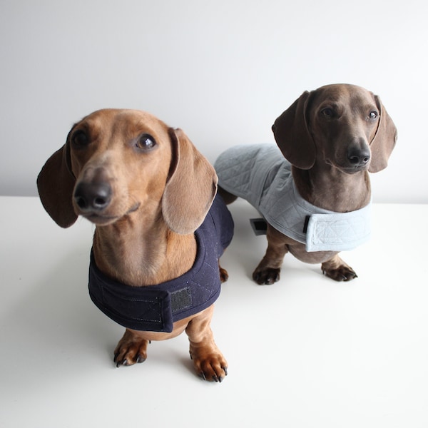 DOG JACKET PATTERN - The Dandy-Doo Totally Reversible, Totally Adjustable Jacket Pattern for Small Dogs by Art East - Instant Download