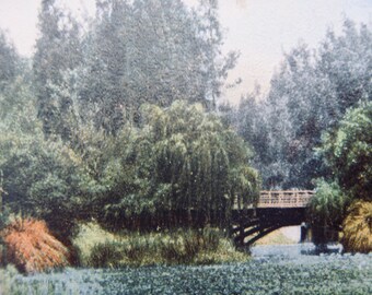 Eastlake Park, Los Angeles, Cal. antique postcard postally unused