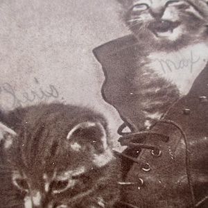 May include: Sepia-toned vintage photograph featuring two cats. One cat is inside a boot, with the name "Max" written on its chest. The other cat is in the foreground. The name "P. Lewis" is written in the upper left corner.
