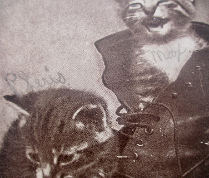 May include: Sepia-toned vintage photograph featuring two cats. One cat is inside a boot, with the name "Max" written on its chest. The other cat is in the foreground. The name "P. Lewis" is written in the upper left corner.