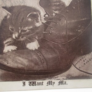 May include: Vintage sepia-toned postcard featuring a kitten nestled inside a leather boot. The kitten has white paws and is looking down. The text at the bottom reads "I Want My Ma."