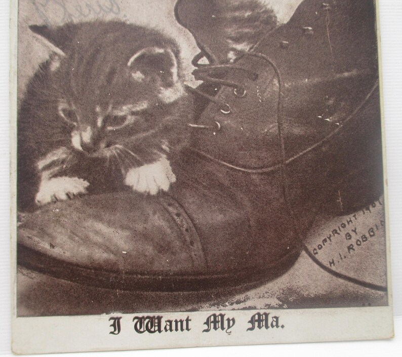 May include: Vintage sepia-toned postcard featuring a kitten nestled inside a leather boot. The kitten has white paws and is looking down. The text at the bottom reads "I Want My Ma."