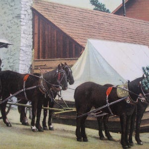 Antique Postcard, Travelling in the West, Four horse team, circa 1907, Undivided back, Lithograph.