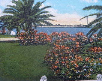 Waterfront Park and Halifax River, Daytona Beach, Fla. 1940s vintage postcard.