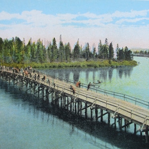 1930s Yellowstone Park Postcard: Fishing Bridge Lake Outlet Lithograph