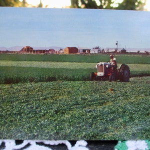 May include: A vintage postcard showing a green field with a red and white tractor in the distance. The tractor is being driven by a person wearing a white shirt. There are several buildings in the background.