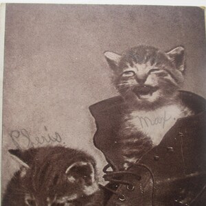 May include: Sepia-toned vintage photograph featuring two kittens. One kitten is inside a boot, with the name "Max" written on its chest. The other kitten is partially visible, with the name "Chris" written on the image. The kittens appear to be smiling.
