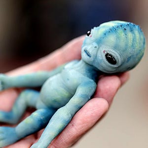 Alien ""Zaldron"""
