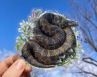 Massasauga Rattlesnake Sticker