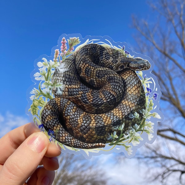 Rattlesnake Stickers Etsy