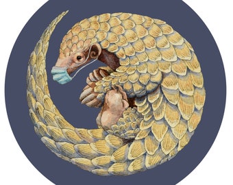 Pangolin Embroidery PDF Pattern Digital Download Endangered animals Pangolins