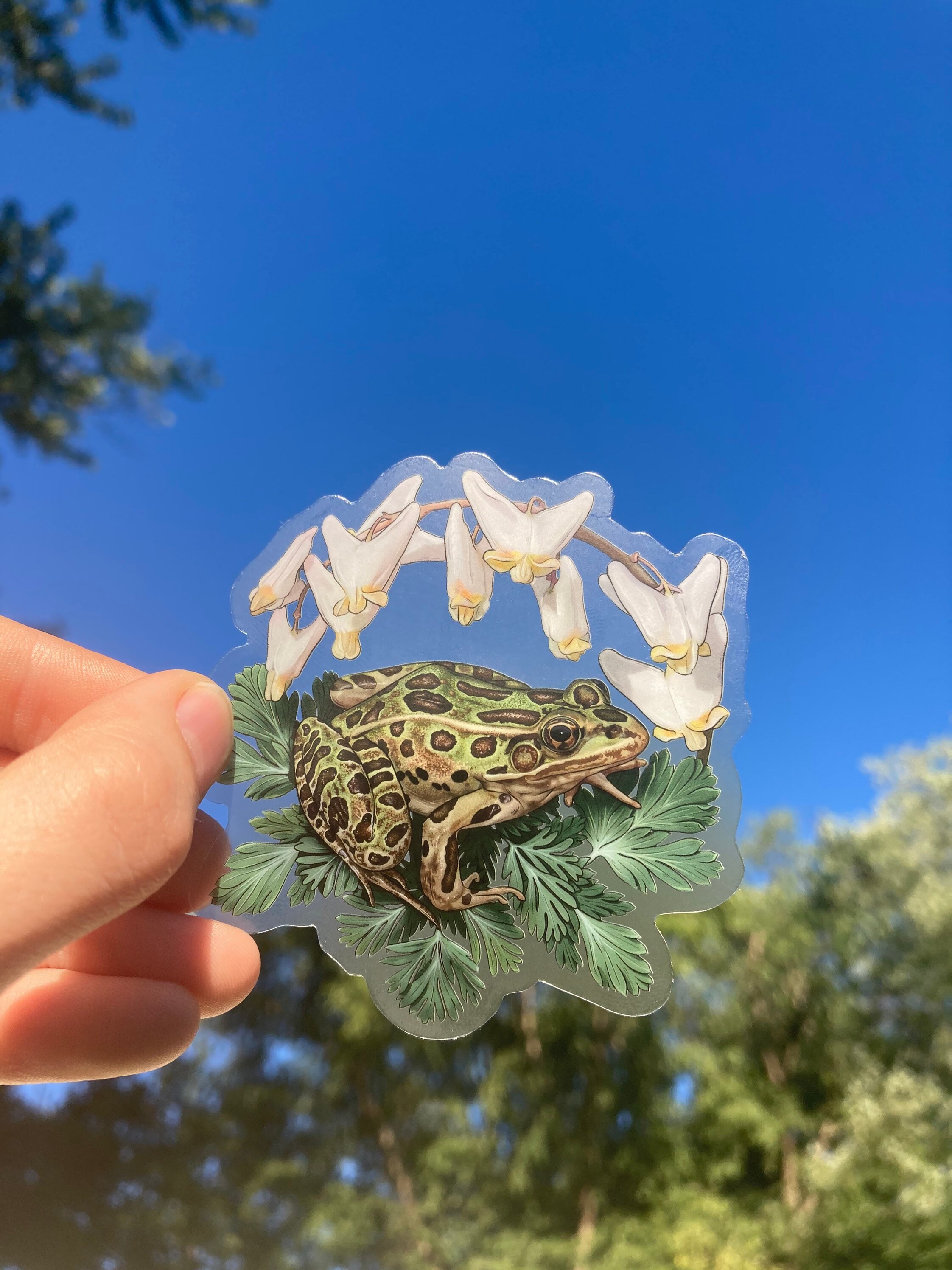 Northern Leopard Frog Sticker - Etsy