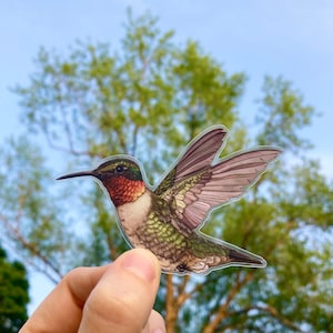 Ruby-throated Hummingbird Sticker