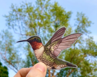 Ruby-throated Hummingbird Sticker