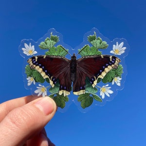 May include: A clear sticker featuring a brown and black butterfly with white and purple accents, surrounded by white flowers and green leaves.
