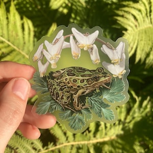 Northern Leopard Frog Sticker