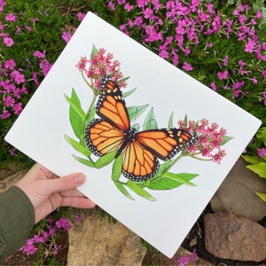 Monarch and Swamp Milkweed Print