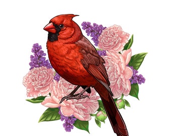 Cardinal and Lilac with Peonies Print