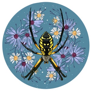 Browse thousands of = { Lovejogo.Com } Paciencia Spider Online Grátis  Qowczq images for design inspiration