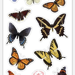 Butterfly Stickers