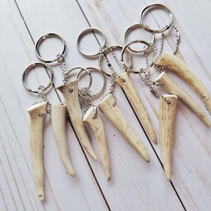 Shed Antler Tip Keychain~Antler Gift