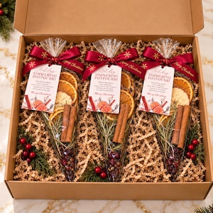 May include: A cardboard gift box containing three clear cone-shaped bags of holiday simmering potpourri. Each bag features dried orange slices, cinnamon sticks, rosemary, and berries, tied with a burgundy ribbon and a tag reading Holiday Simmering Potpourri.