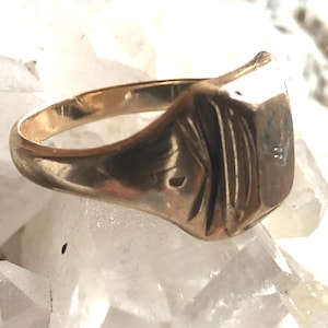 May include: A gold-colored signet ring with a rectangular face and engraved details. The ring is set against a backdrop of clear, crystalline structures, highlighting its polished surface and classic design.
