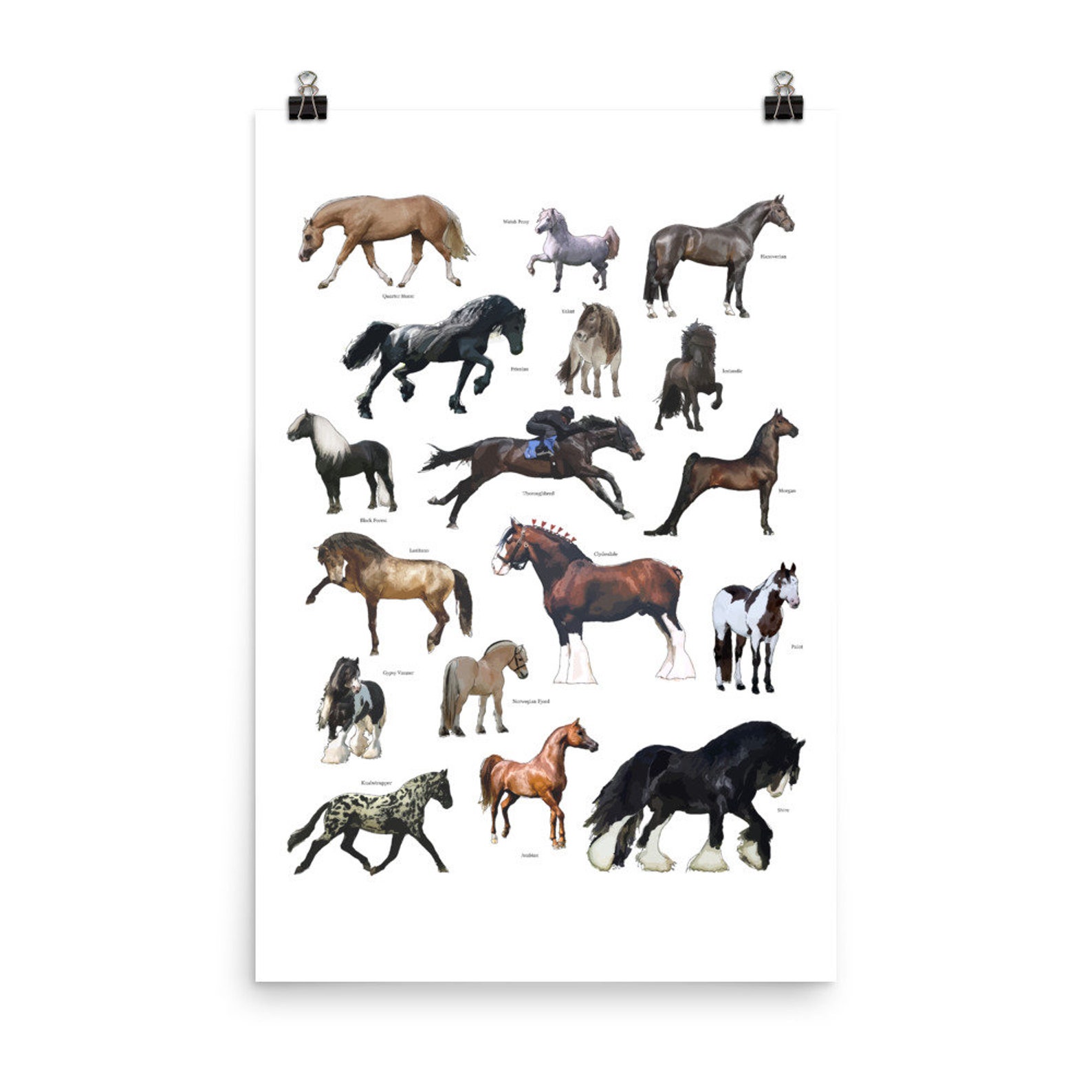 Cartel de las razas de caballos Arte ilustrado de la pared Etsy