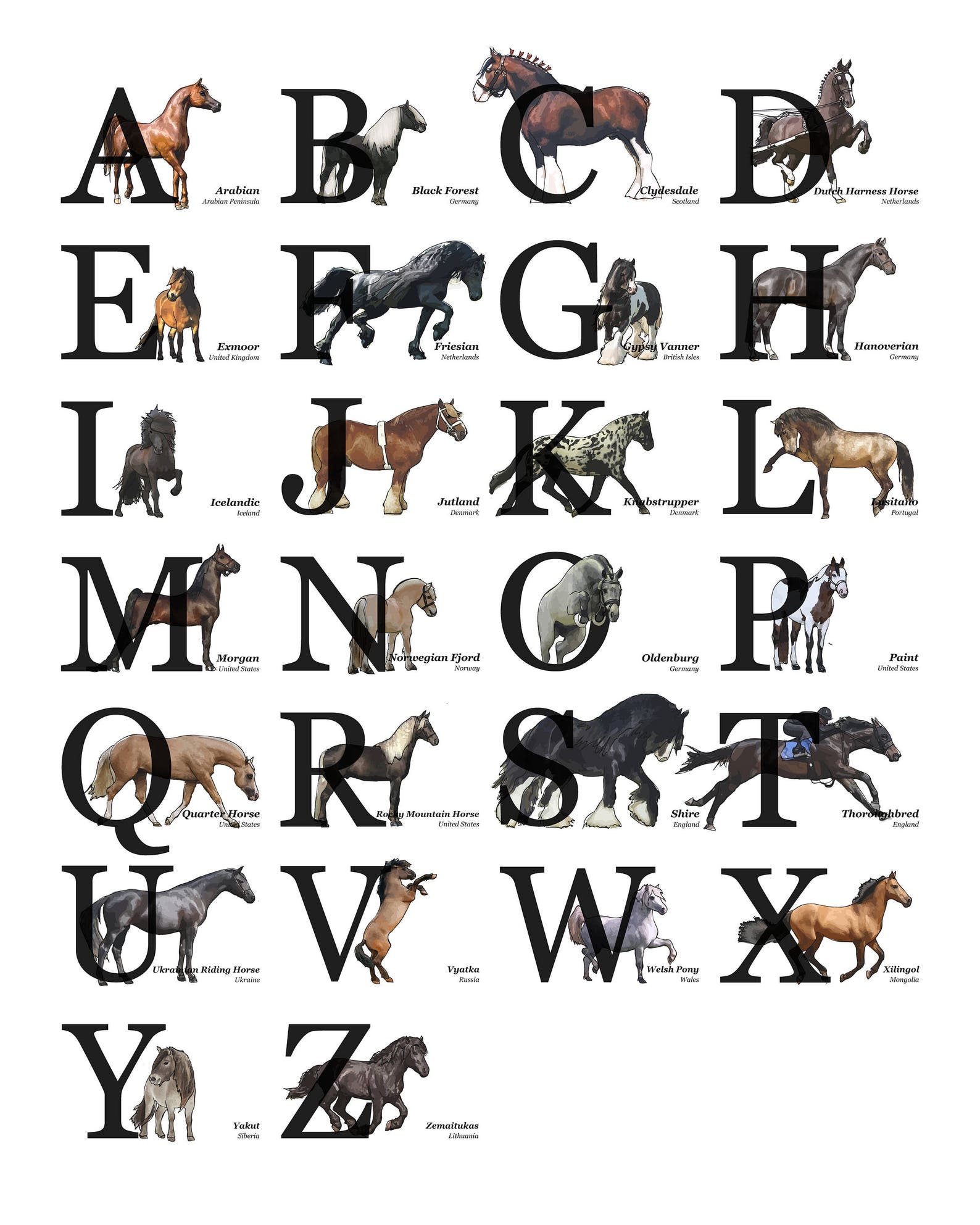 Cheval races alphabet / AZ poster Cadeau damoureux de Etsy Cheval races alphabet / AZ poster Cadeau damoureux de Etsy