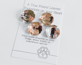 Custom Glass Pet Photo Magnets | Fridge Magnets | Personalized Refrigerator Magnet | Picture Magnet |Gift for Mom | Family Gift | Pet Magnet