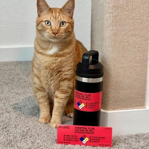 Puede incluir: Un gato atigrado naranja está sentado junto a una botella de agua negra con una etiqueta roja. La etiqueta dice "CHEMTRAIL FLUID AVIATION USE ONLY DIHYDROGEN MONOXIDE" e incluye símbolos de peligro y texto sobre control mental y COVID-19.