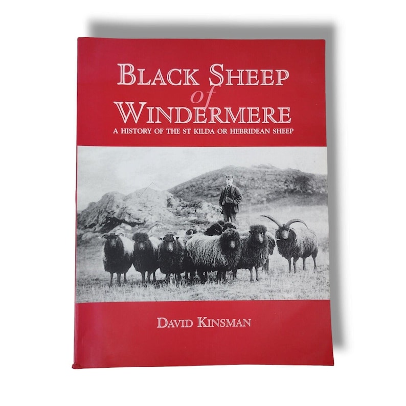 Black Sheep of Windermere : A History of the St Kilda or Hebridean Sheep Book image 1