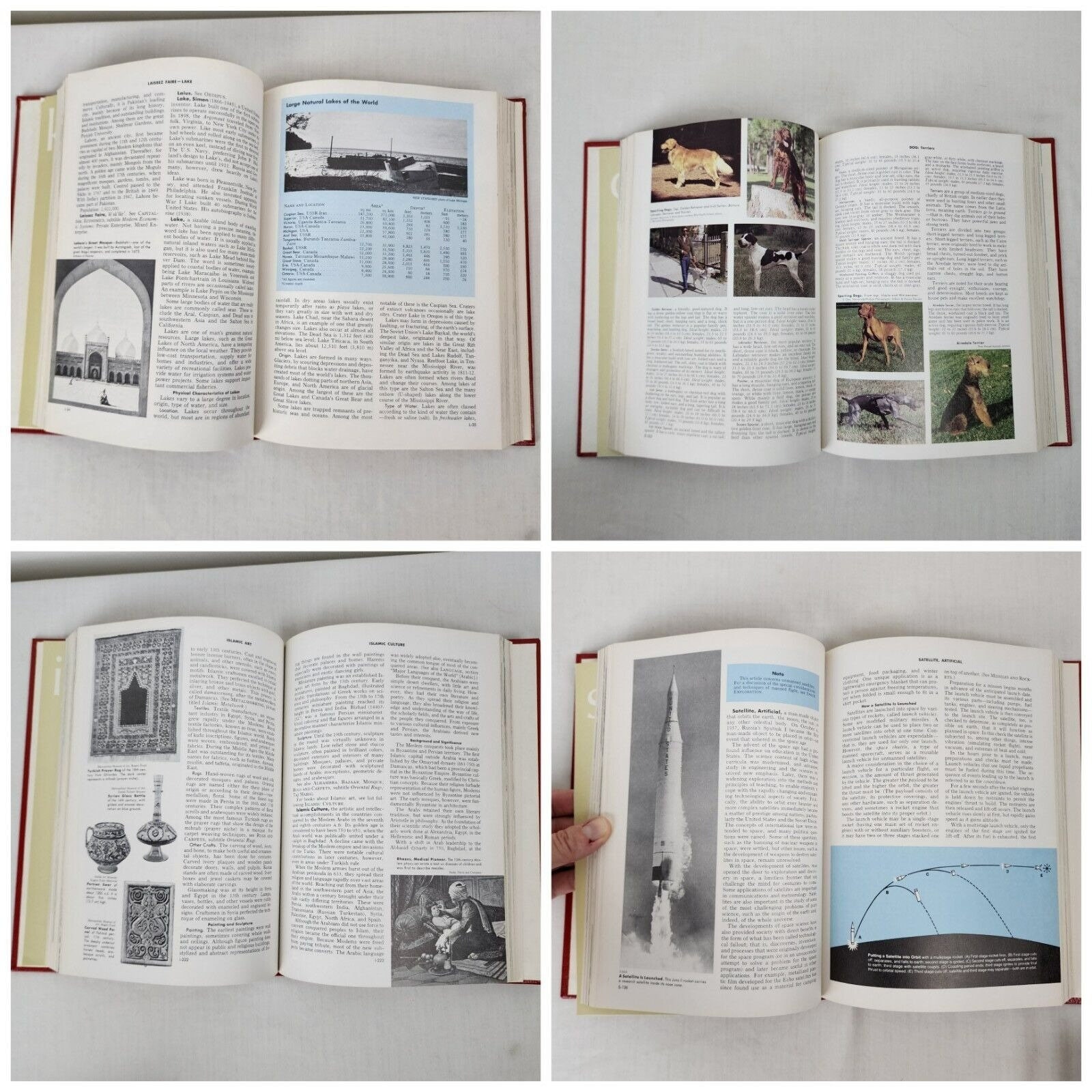 New Standard Encyclopedia COMPLETE 20 Volumes Set VTG 1991