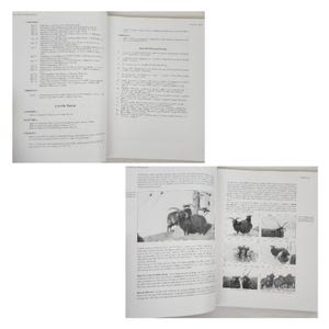 Black Sheep of Windermere : A History of the St Kilda or Hebridean Sheep Book image 9