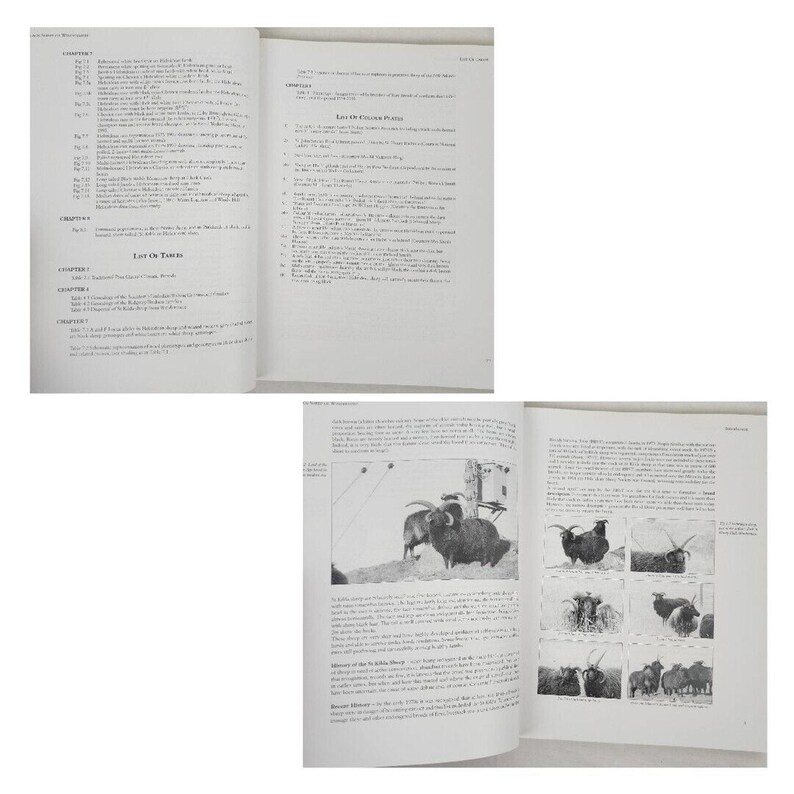Black Sheep of Windermere : A History of the St Kilda or Hebridean Sheep Book image 9